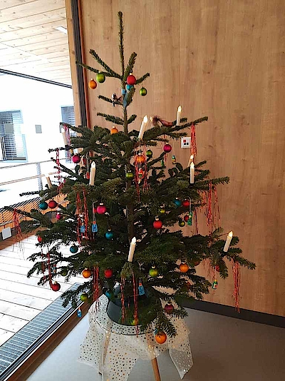 Weihnachten in unserem Heim