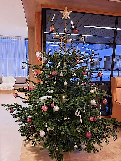 Weihnachten in unserem Heim