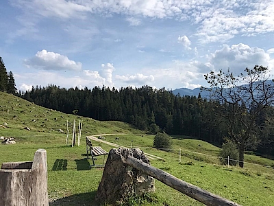 Ausflug zur Hinterschießlingalm