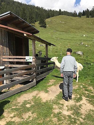 Ausflug zur Hinterschießlingalm 11.09.2020