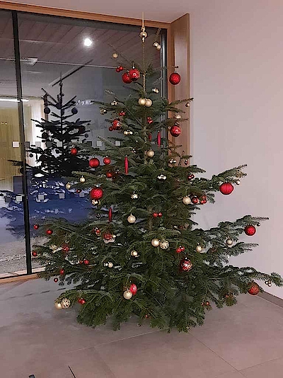 Weihnachten in unserem Heim